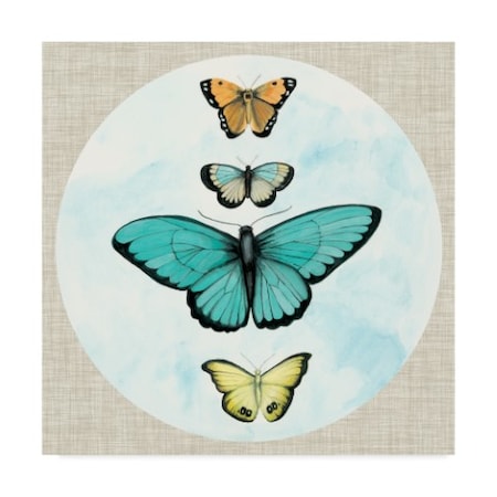 Naomi Mccavitt 'Butterfly Daydream I' Canvas Art,18x18